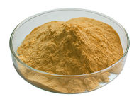 65666-07-1 Organic Milk Thistle Extract Powder Silymarin Hplc 60% Anti - Radiation