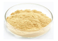Light Yellow Ginseng Extract Powder Ginsenoside 50% Adjusting Blood Press