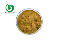 Coprinus Comatus Coprinus Setas Extract Powder 20% 30%