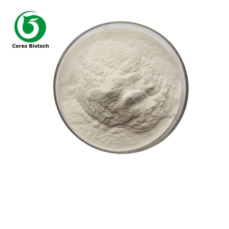 Dietary Supplement Amino Acid Powder 98.5% Purity L-Carnitine Powder CAS 541-15-1