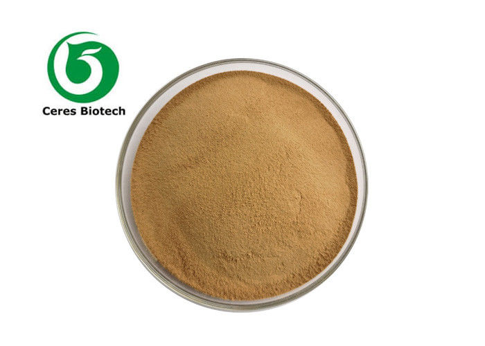 5/1 10/1 20/1 Organic Herbal Extract Powder Flax Seed Supplement