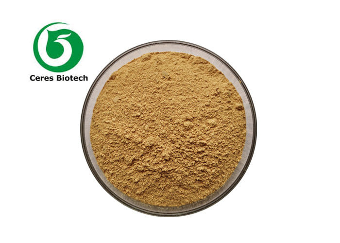 Factory Supply High Quality 10:1 Glycyrrhiza Glabra Root Extract  7% Glycyrrhizic Acid