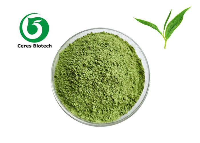Organic Pure Matcha Powder Green Tea Polyphenols