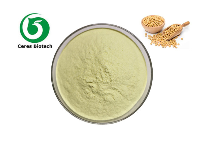 Food Grade 98% Soy Lecithin Powder For Baking Cooking