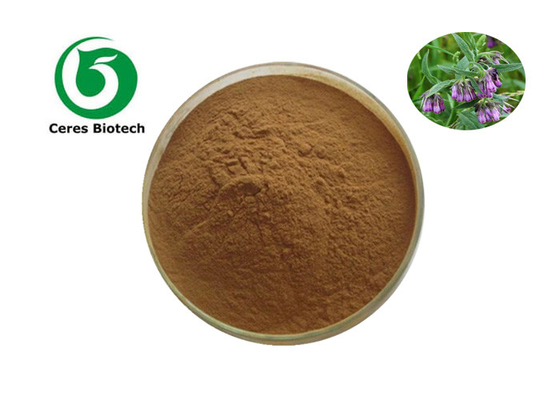 Pharmaceutical Grade Herb Extract Powder Organic SpergulaRia RuBra