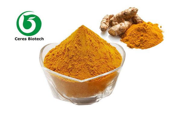 Food Preservative Turmeric Extract Curcuma Longa L Extract Powder