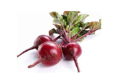 Food Industry Natural Beetroot Powder 100% Soluble In Water High Efficiency