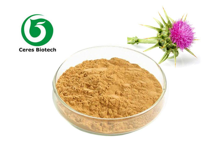 80% Organic Silymarin Milk Thistle Extract Powder Liver Protection