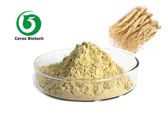 Καυτή σκόνη αποσπασμάτων Ginseng πώλησης με 5% 20% 80% Ginsenosides
