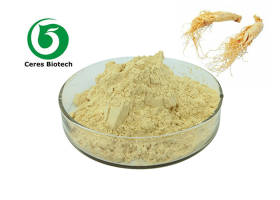 Καθαρός βαθμός τροφίμων Panax Ginseng ρίζας Ginsing σκόνη αποσπασμάτων Ginseng σκονών