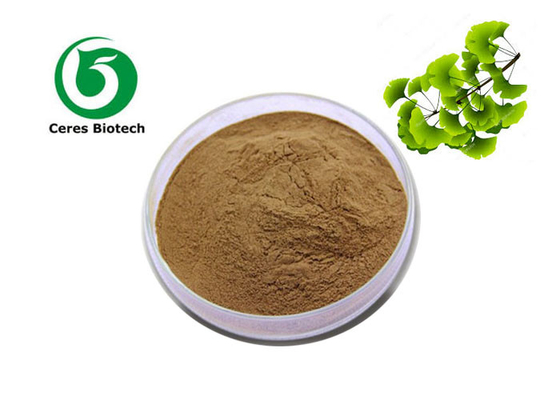 Σκόνη αποσπασμάτων biloba 6% 24% αποσπασμάτων Ginkgo Biloba σκονών αποσπασμάτων φύλλων Ginkgo εργοστασίων ανεφοδιασμού